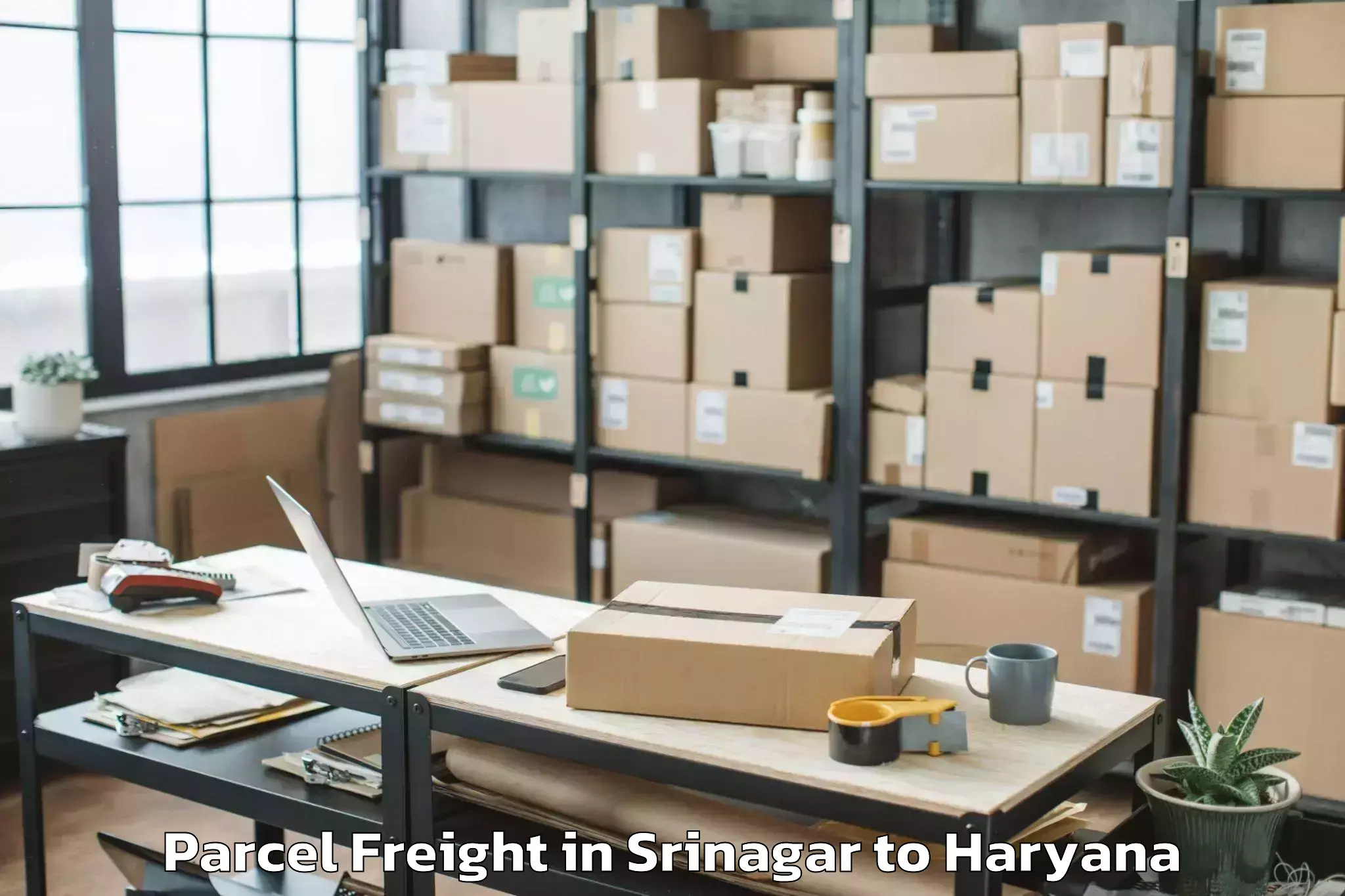 Srinagar to Haryana Parcel Freight Booking